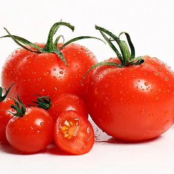 Tomate Premium
